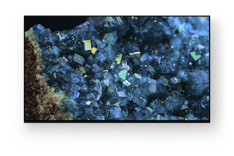Sony Bravia FWD-55A80L Display