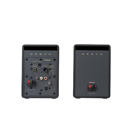 Onkyo Creator Serie GX10-BD Aktivlautsprecher, schwarz
