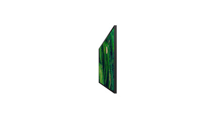 Sony FW-65BZ35P professionelles 65-Zoll-Display mit Deep Black Non-Glare Standard und Staubschutz na
