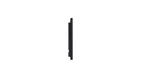 SOLUM Standard Display 50"