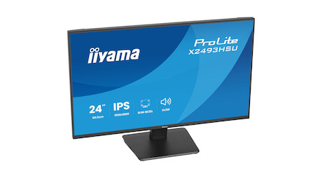 iiyama ProLite X2493HSU-B1