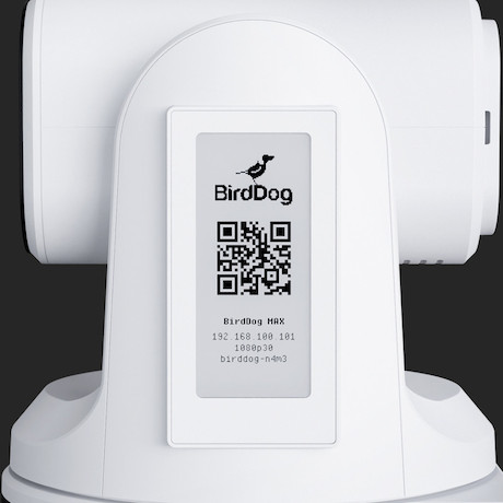 BirdDog MAX professionelle PTZ-Kamera in weiß