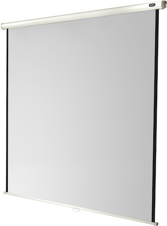 celexon Leinwand Rollo Economy 200 x 200 cm - 111"