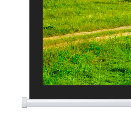 Projecta Motorleinwand Elpro Concept 280 x 162 16:9, mattweiß
