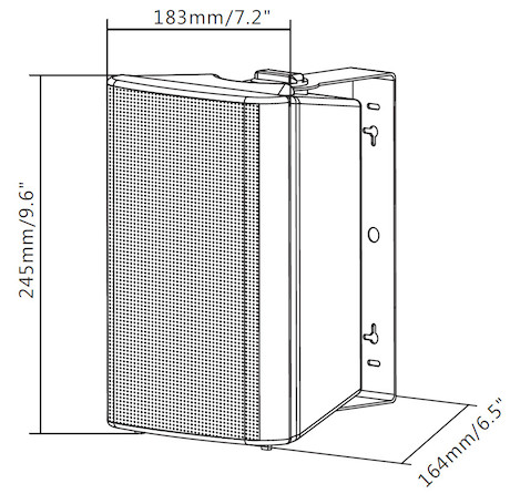 Vision SP-1900P professionelle 5,25-Zoll-Wandaktivlautsprecher