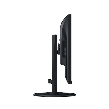 EIZO EV2410R FlexScan Monitor in Schwarz