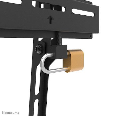 Neomounts WL30-350BL14 TV-Wandhalterung 32-65" - fest - abschließbar - 81,3 cm (32") - 165,1 cm (65"