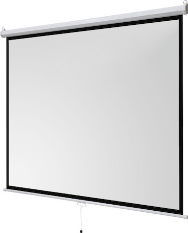 celexon basic line Rolloleinwand 200 x 200cm,Leinwand Format 1:1 , Heimkino Leinwand, Beamerleinwand