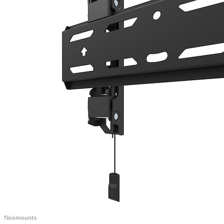 Neomounts WL30S-850BL12 TV-Wandhalterung für 24-65" Displays