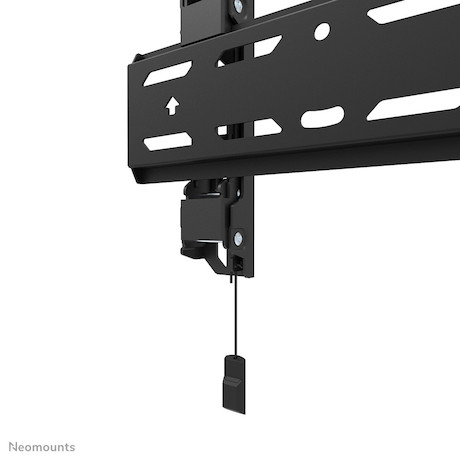Neomounts WL30S-850BL12 TV-Wandhalterung für 24-65" Displays