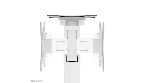 Neomounts Next Slim Desk Mount single display