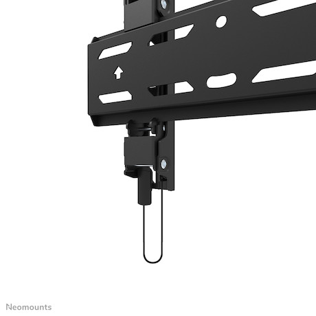 Neomounts WL30S-850BL12 TV-Wandhalterung für 24-65" Displays