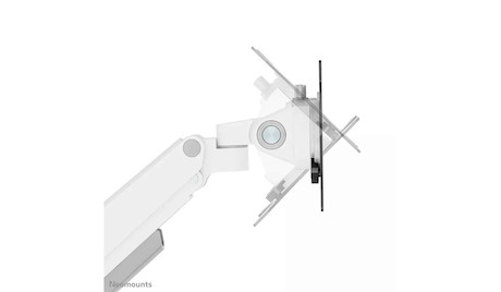 Neomounts Next Slim Desk Mount single display