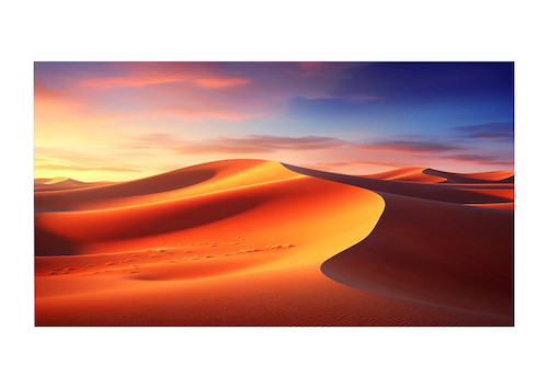 celexon Expert Fixed Frame screen PureWhite 250 x 156 cm